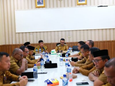 WhatsApp Image 2026-01-05 at 15.49.55