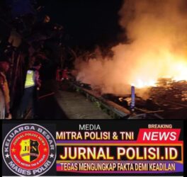 WhatsApp Image 2026-02-01 at 10.46.27