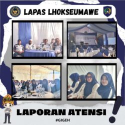 WhatsApp Image 2026-02-01 at 11.01.55