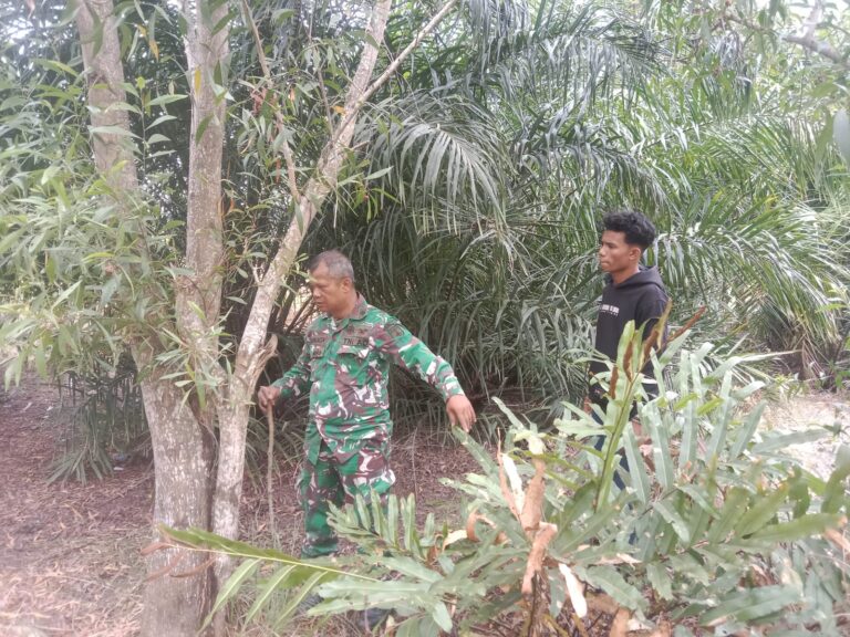 WhatsApp Image 2026-02-01 at 12.43.59