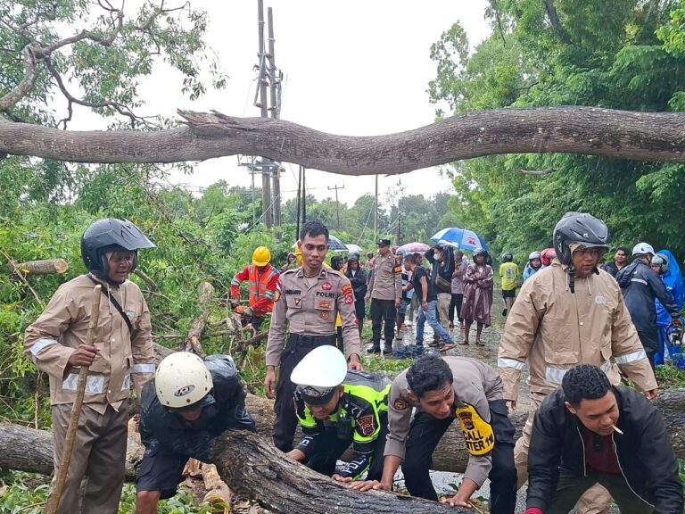 WhatsApp Image 2026-02-01 at 14.49.41