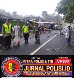 WhatsApp Image 2026-02-01 at 17.15.04