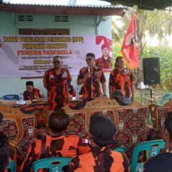 WhatsApp Image 2026-02-01 at 20.53.04