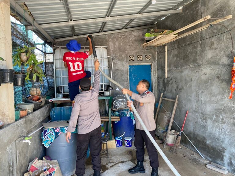 WhatsApp Image 2026-02-02 at 08.51.08