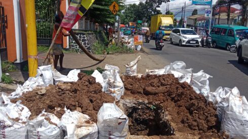 WhatsApp Image 2026-02-02 at 11.58.33