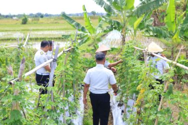 WhatsApp Image 2026-02-02 at 12.20.52