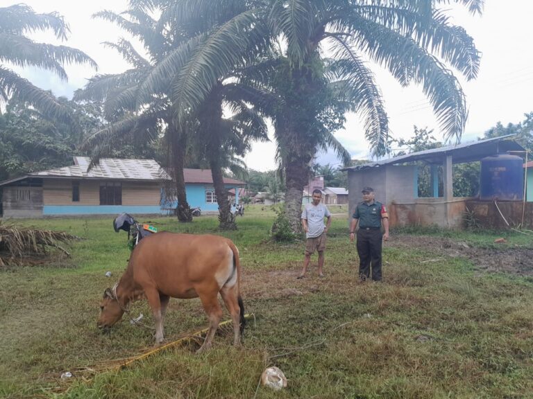 WhatsApp Image 2026-02-02 at 13.17.43