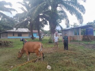 WhatsApp Image 2026-02-02 at 13.17.43