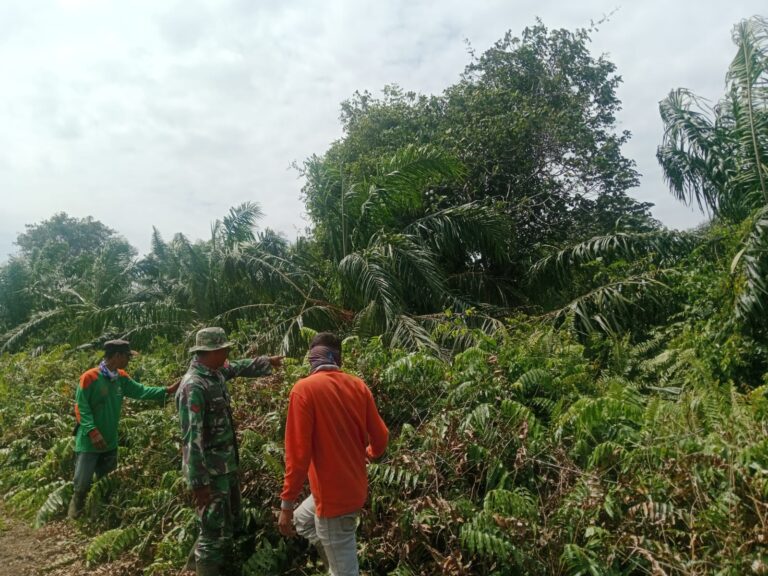 WhatsApp Image 2026-02-02 at 13.20.08