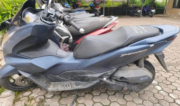 WhatsApp Image 2026-02-02 at 13.41.36