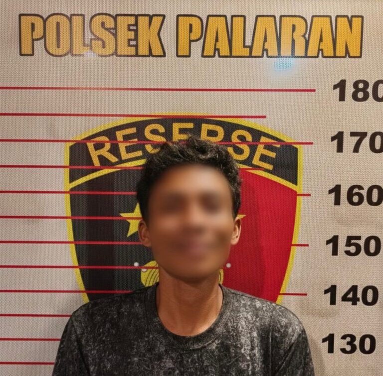 WhatsApp Image 2026-02-02 at 14.14.59