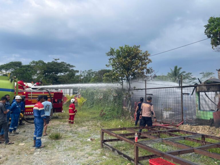 WhatsApp Image 2026-02-02 at 17.17.58