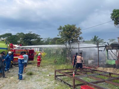 WhatsApp Image 2026-02-02 at 17.17.58