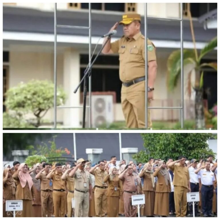 WhatsApp Image 2026-02-02 at 20.11.19