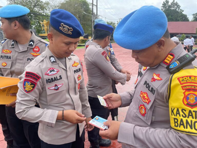 WhatsApp Image 2026-02-03 at 08.17.17