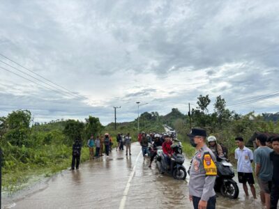 WhatsApp Image 2026-02-03 at 08.19.09