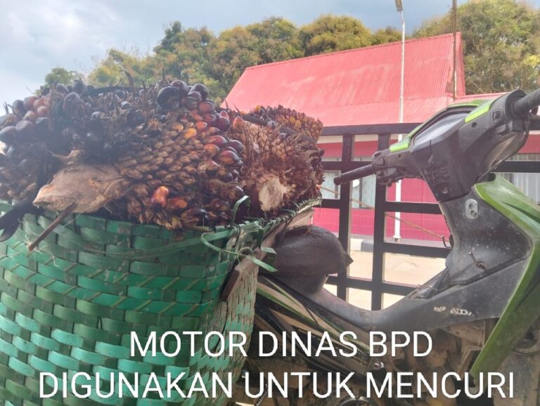 WhatsApp Image 2026-02-03 at 10.01.00