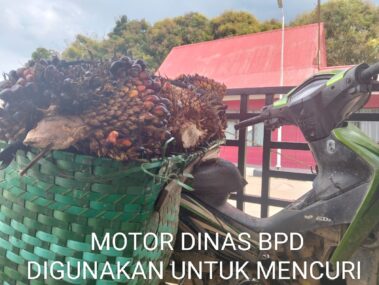 WhatsApp Image 2026-02-03 at 10.01.00