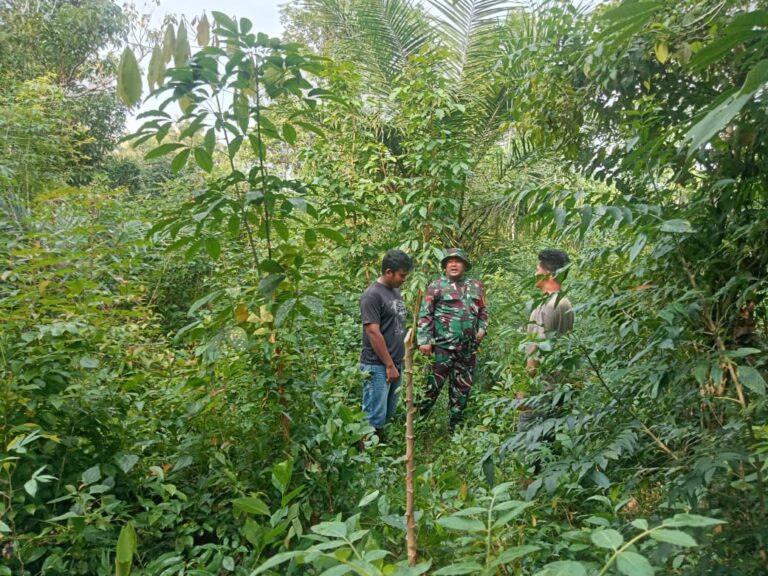 WhatsApp Image 2026-02-03 at 12.30.13