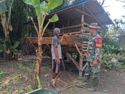 WhatsApp Image 2026-02-03 at 12.31.48