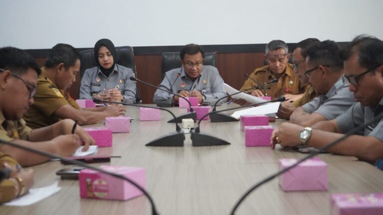 WhatsApp Image 2026-02-03 at 13.03.36