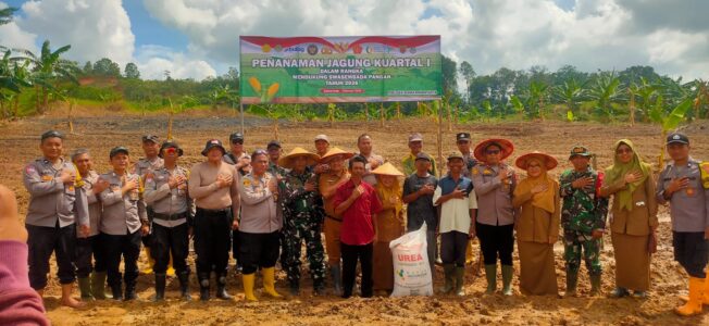 WhatsApp Image 2026-02-03 at 13.54.02