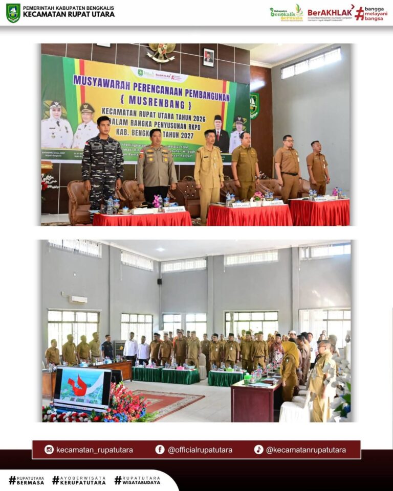 WhatsApp Image 2026-02-03 at 14.43.31