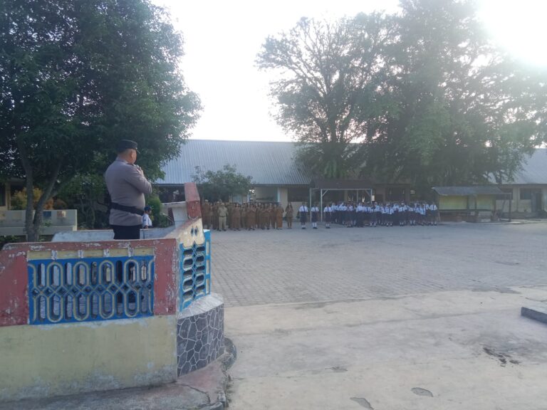 WhatsApp Image 2026-02-03 at 17.47.20