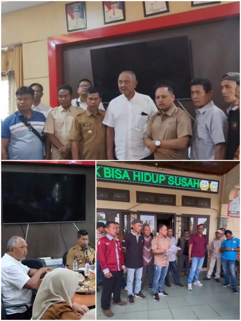 WhatsApp Image 2026-02-03 at 18.22.22