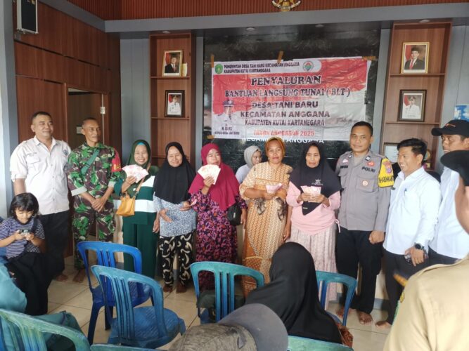 WhatsApp Image 2026-02-03 at 19.27.46