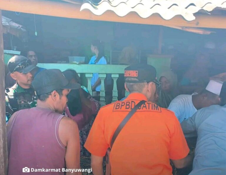 WhatsApp Image 2026-02-03 at 20.00.27 (1)