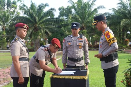 WhatsApp Image 2026-02-04 at 09.12.14