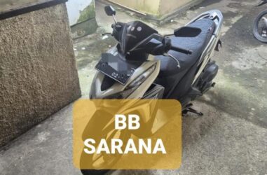 WhatsApp Image 2026-02-04 at 11.59.27