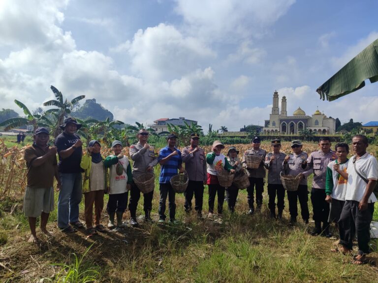 WhatsApp Image 2026-02-04 at 14.16.38