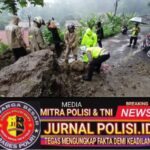 WhatsApp Image 2026-02-04 at 23.15.37