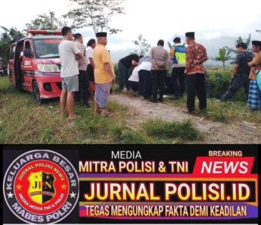 WhatsApp Image 2026-02-05 at 10.24.55