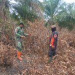 WhatsApp Image 2026-02-05 at 11.56.45