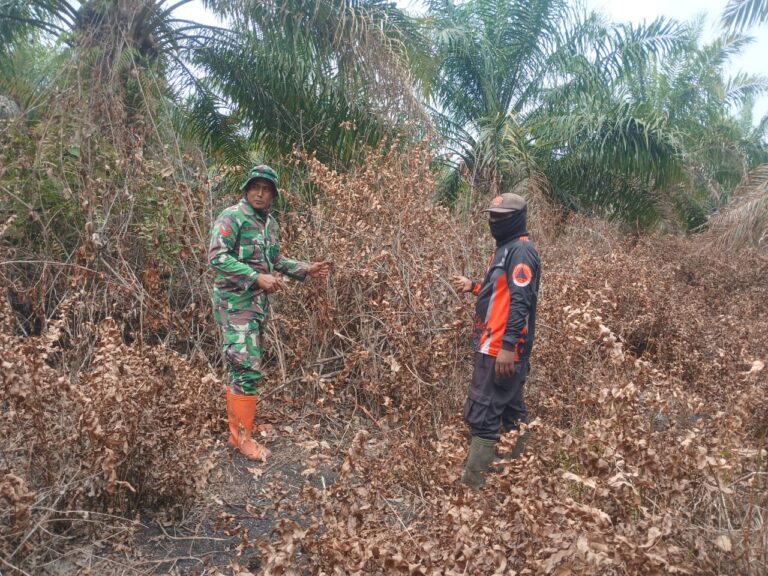 WhatsApp Image 2026-02-05 at 11.56.45