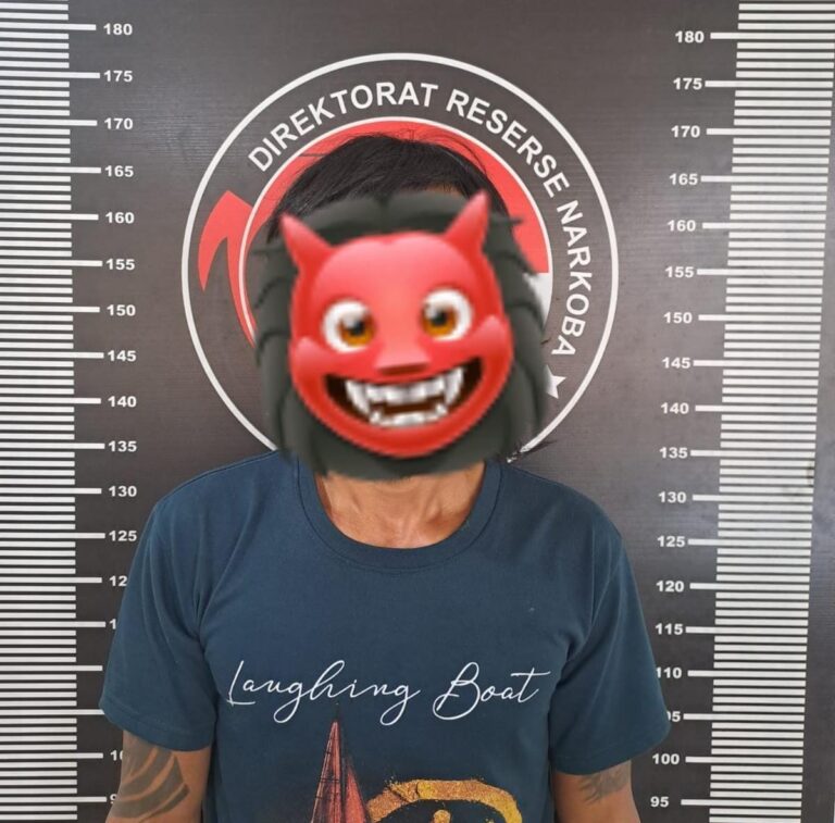 WhatsApp Image 2026-02-05 at 12.27.13