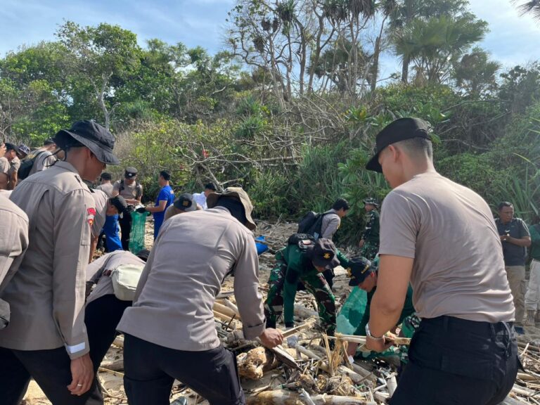 WhatsApp Image 2026-02-05 at 14.19.13