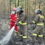 WhatsApp Image 2026-02-05 at 14.30.35