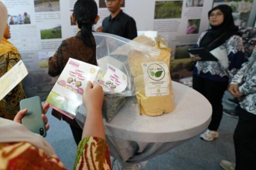 WhatsApp Image 2026-02-05 at 16.01.37