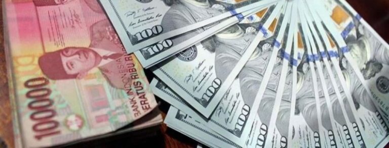 WhatsApp Image 2026-02-05 at 16.54.56