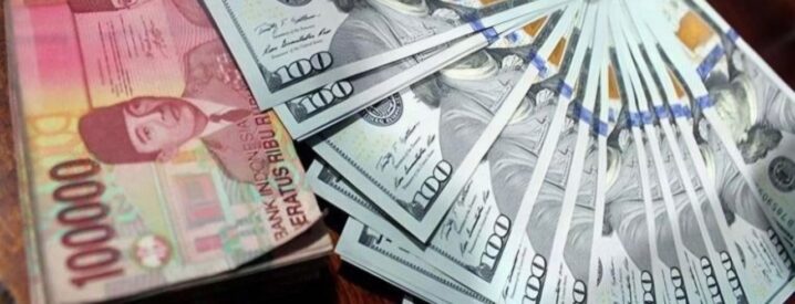 WhatsApp Image 2026-02-05 at 16.54.56