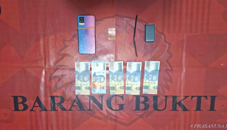 WhatsApp Image 2026-02-06 at 09.34.33