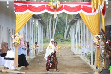 WhatsApp Image 2026-02-06 at 11.43.45