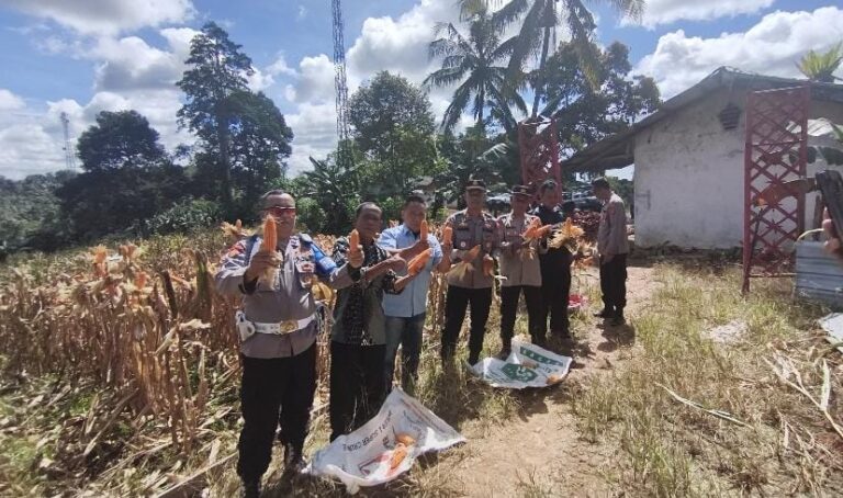 WhatsApp Image 2026-02-06 at 12.25.28 (1)