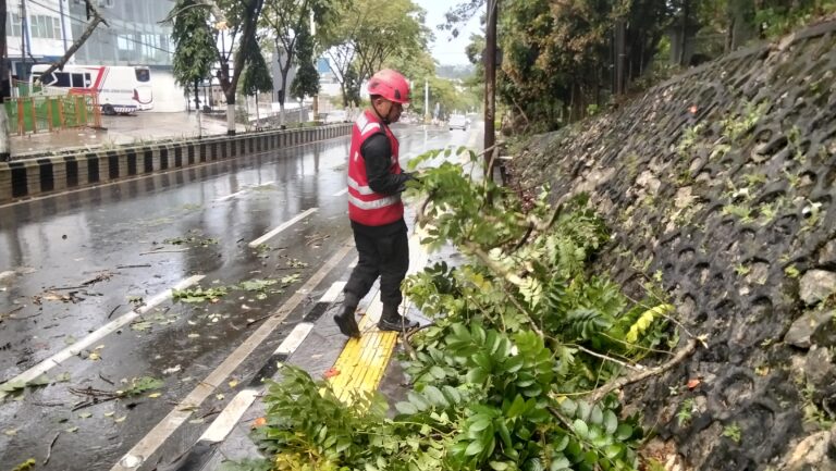 WhatsApp Image 2026-02-06 at 14.10.53