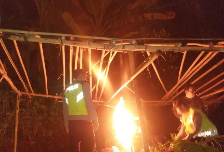 WhatsApp Image 2026-02-06 at 21.36.33