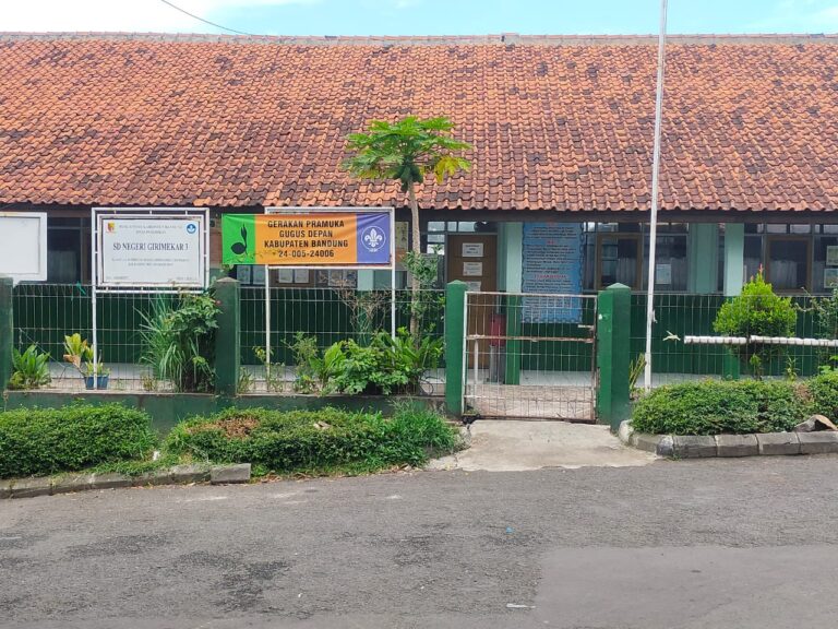 WhatsApp Image 2026-02-07 at 10.02.12